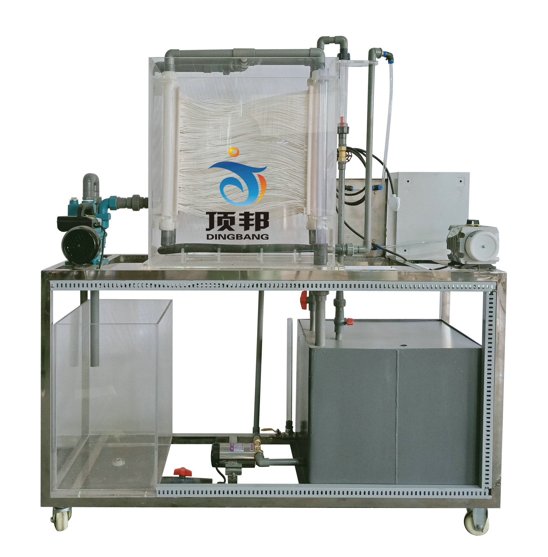 Ĥ���ﷴ��(y��ng)������b��